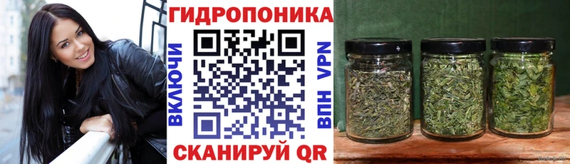 Конопля сатива  Кинешма 